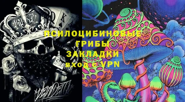 МДПВ Снежинск