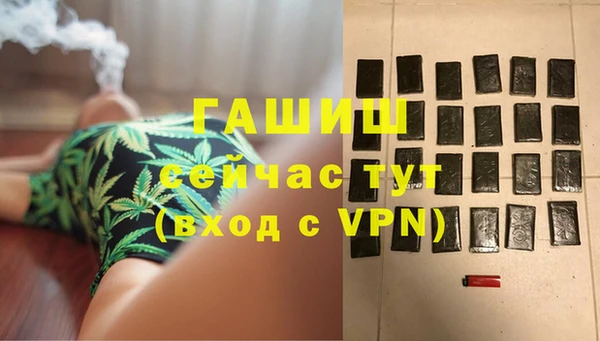 МДПВ Снежинск